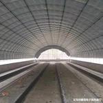 养殖大棚畜牧温室大棚保温单体大棚养鸡养鸭养鹅家禽温室大棚安装