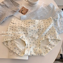 甜美10A抗菌加长裆纯棉舒适透气全包臀女士大码透气不勒平角裤