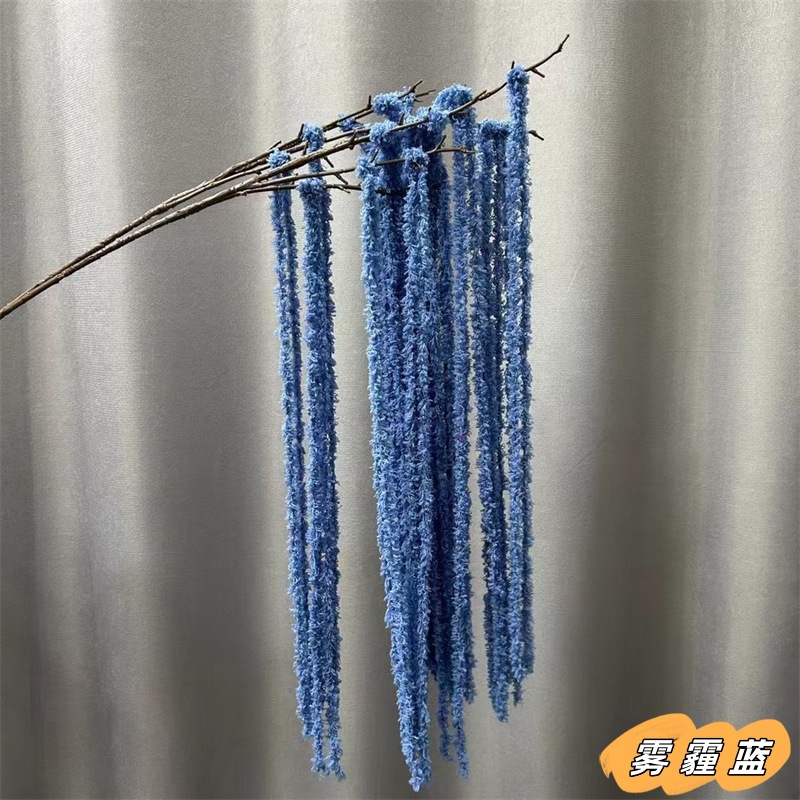 헤이즈 블루