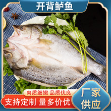 ���lζ�����_���|�~���~�F��ȥ��̎��-36�漱���i�r�m���̳���ͥ