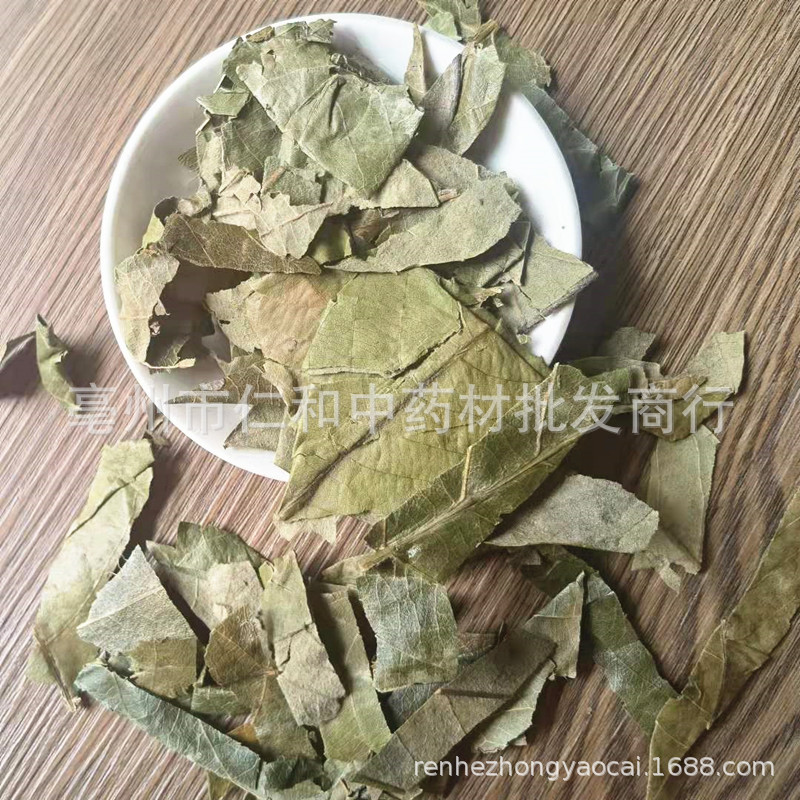 Dried Loquat Leaf Pi Pa Ye 枇杷叶 Traditional Chinese Herb for Herbal Tea and Decoction Sold by Weight specifications