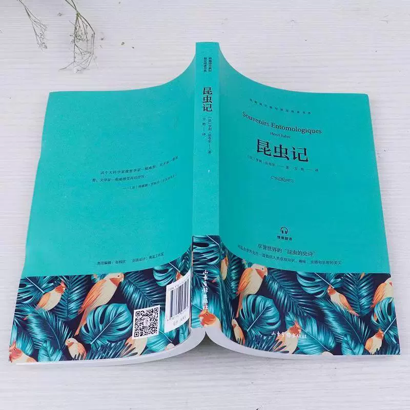 Insect Uncuttered Edition Eighth Grade Fabur Original Junior High School Young Extra -Class Book Reading