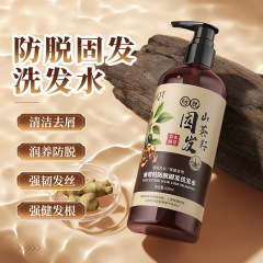 麗泉特山茶種防脱固髪シャンプー側柏葉リンス草本エッセンスコントロール油柔順シャンプー