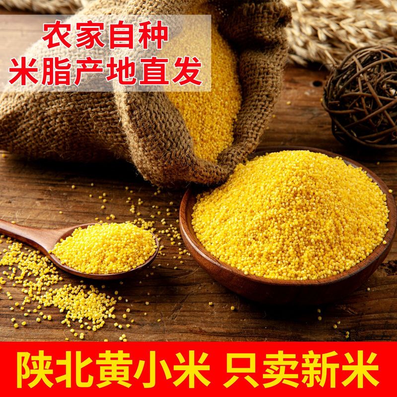 陕西油小米农家米脂小黄米新小米一斤杂粮粥米养胃粘糯批发谷类|undefined