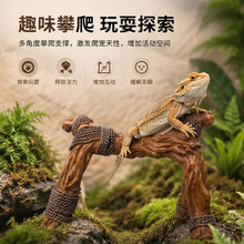 爬宠麻绳攀爬绳休息站台攀爬树木晒台蜥蜴守宫树脂造景跨境代发XJ
