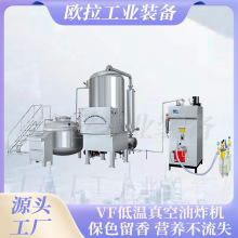 蔬菜干油炸脱油脱水一体机 VF低温 真空油炸机 洋葱圈油炸机械