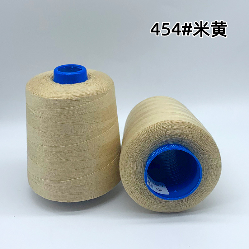 202 굵은선-베이지