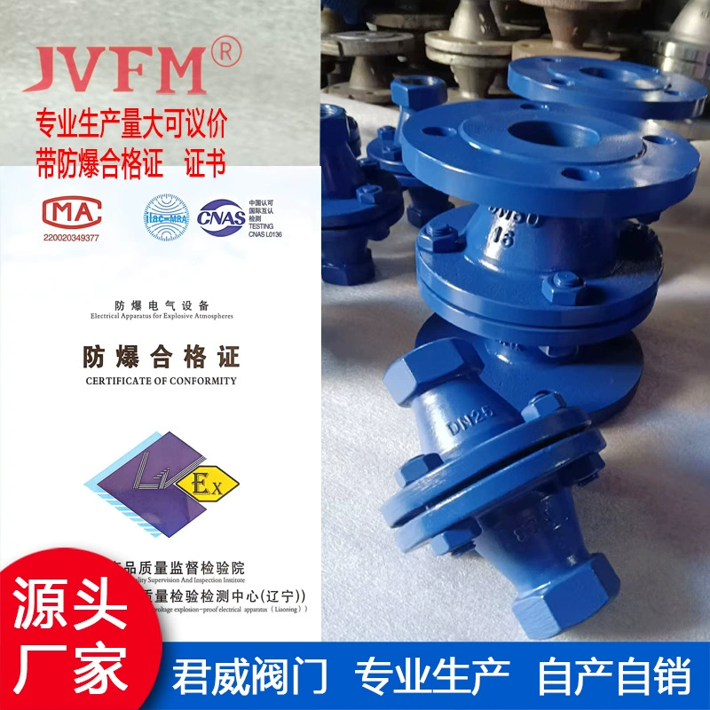 GZW-1 пламегаситель природного газа литой стальной фланец пламегаситель взрывозащищенный пламегаситель трубопровода DN20 DN25