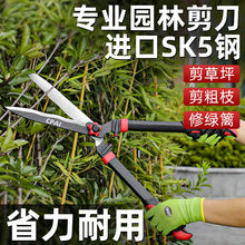 园艺修枝剪修绿化草坪绿篱剪大花剪园林剪枝工具修剪树枝专用剪刀