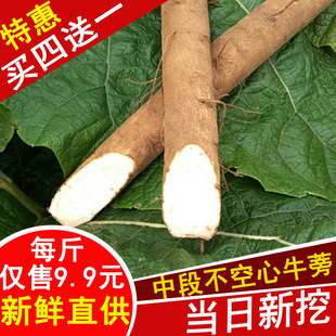 *ţ������r2026�F���nɽ��Ʒ�S���ؼ�������ţ���԰�����Ƭ�߲�*