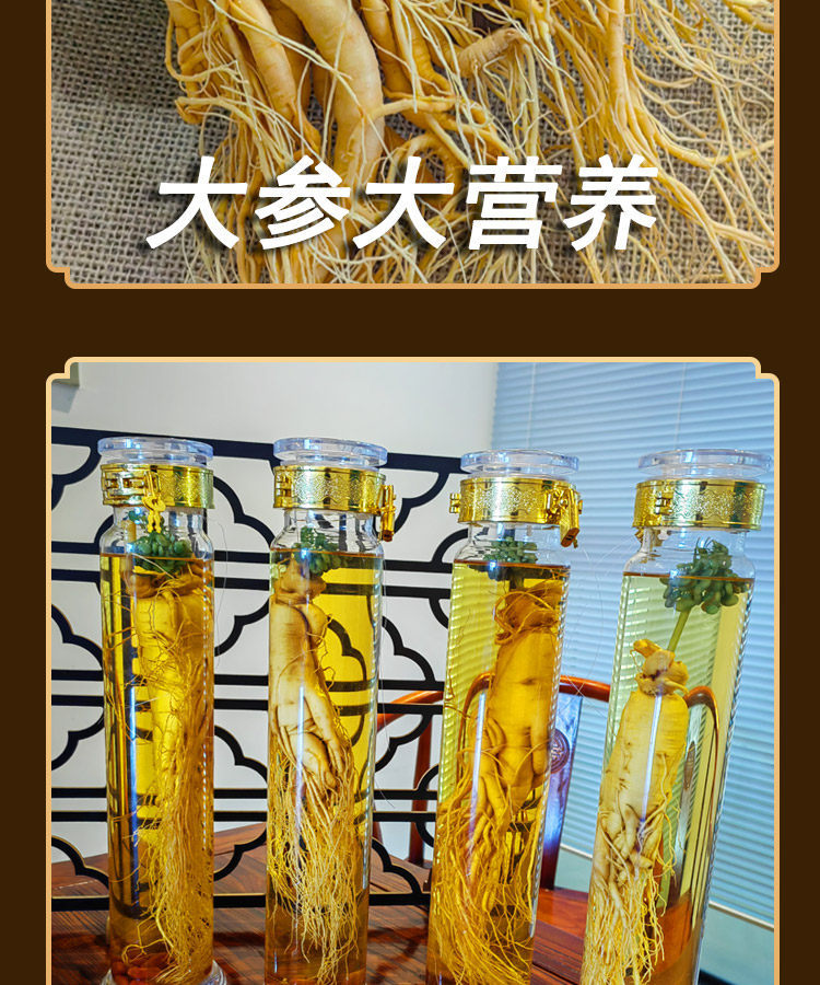 Whole Fresh Ginseng Root from Changbai Mountain Jilin for Soup and Wine Infusion Large Garden Ginseng Ren Shen specifications