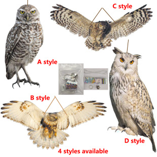 2D ������B؈�^�� ��ߴ� 38CMX18CM�����ǁ�����