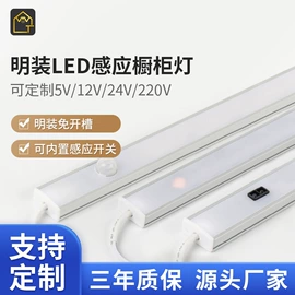 LED装饰灯;LED硬灯条;其他室内灯具