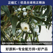 ��ֲ�R �ЙC�����ȼ������� �Ĵ������M��ֲ����޹�M���ЙC����