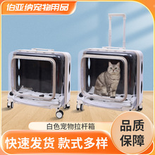 跨境专供定制全景大容量透明白色宠物拉杆箱户外便携猫咪行李箱