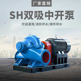 双吸中开泵高扬程大流量大型抽水工业泵