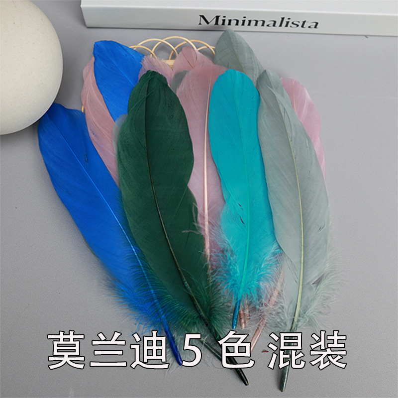 莫兰迪5色 混装