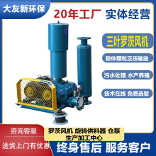 高压风机水产用气化真空罗茨风机变频电厂专用密封型三叶鼓风机