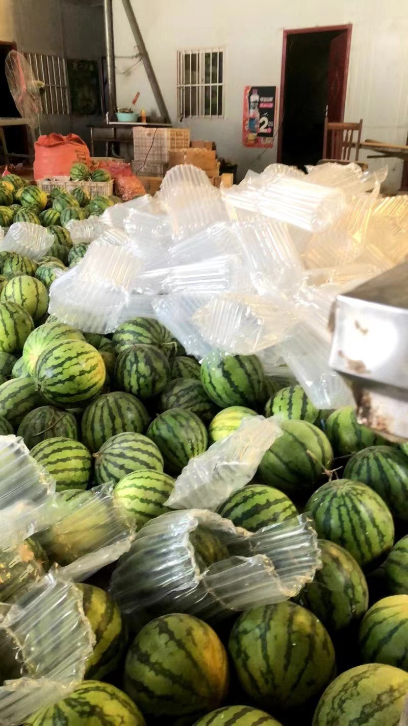 微信图片_20230612163137