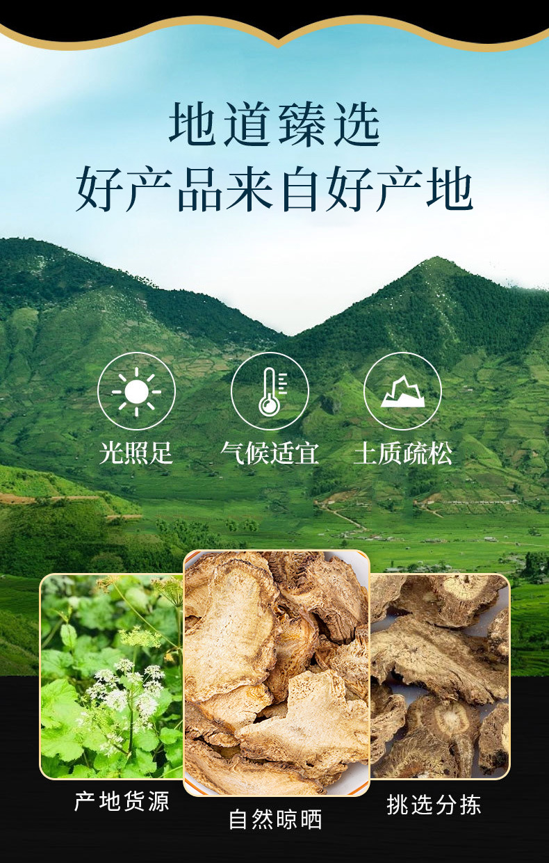 Du Huo Slices & Powder (Angelica pubescens) — Dried Chinese Herb for Wind-Damp Formulas key features