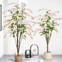 �҃ȼҾӾGֲ���z�����������޾Ƶ�����b�ֲ��٘����Gֲ