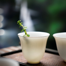 »Ʒմ˱С豭˱֬ɴɫαl