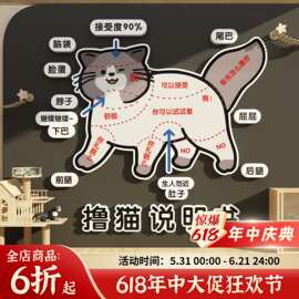 撸猫咪馆咖贴纸部位墙面装饰用品图宠物店铺背景玻璃房门网红打卡