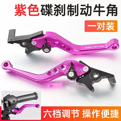 Electric Vehicle Brake Handle Motorcycle: Motorcycle Safety Supplies - purple-front-and-rear-horn-disc-brake-handlepay-model
