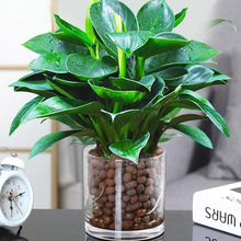 ԾGֲG}jˮֲflؔ҃Ȼkҿ͏dB