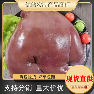5���b������r�i�����r�F��ɢ�B�r���i�����r���r�i�ΰ��]�i��