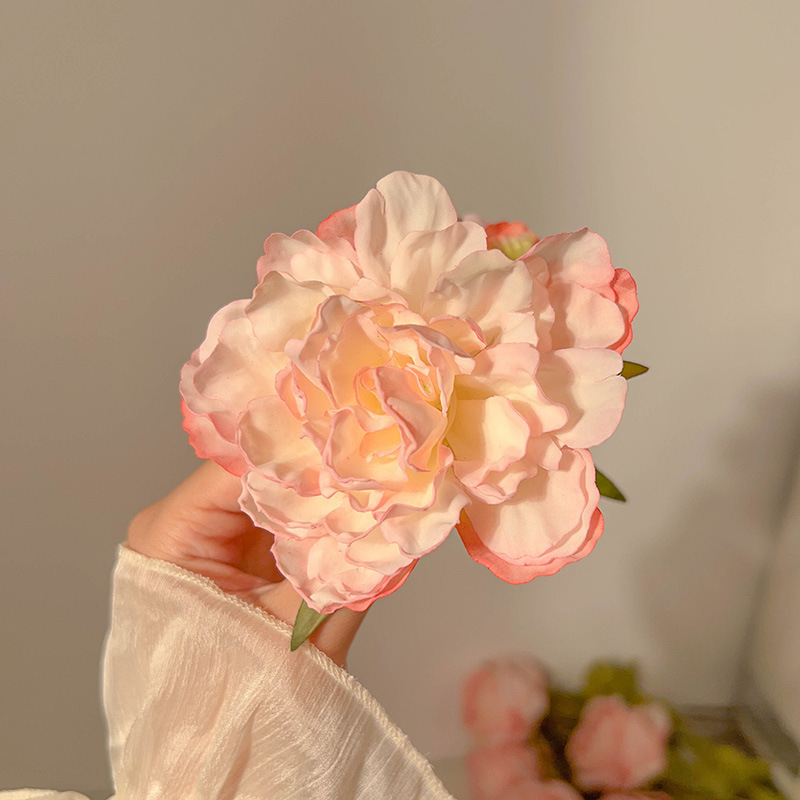 乾燥したバラはフランスの花を挟んで髪を挟みます。|undefined