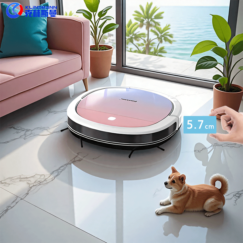 Ten Billion Stickers German Sweeping Robot Intelligent Automatic Household Vacuum Cleaner and Mop All in One