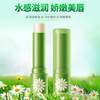 Organic plant lamp, moisturizing lip balm, colorless brightening lipstick suitable for men and women for skin care, softens wrinkles on the lips