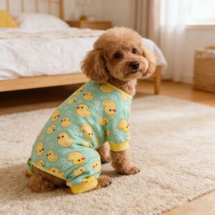 �������_�Ӽҷ� ��ͨ����˯�� ��С��Ȯ؈��Ҿӷ� �S��ֱ�����l
