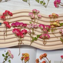 �Nޱ��Сõ�� �ɻ�����ֲ��˱����z�֙C��Ϟ�T���diy�ֹ����ϰ�