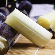 【活动】广西黑皮甘蔗 代发3/9斤新鲜紫皮甜柑当季水果送甘蔗刀