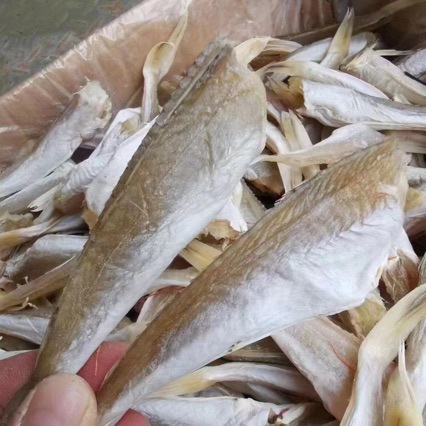 淡干角肉展会地摊电商淡干角肉角条干肉角红娘子鱼干干鱼