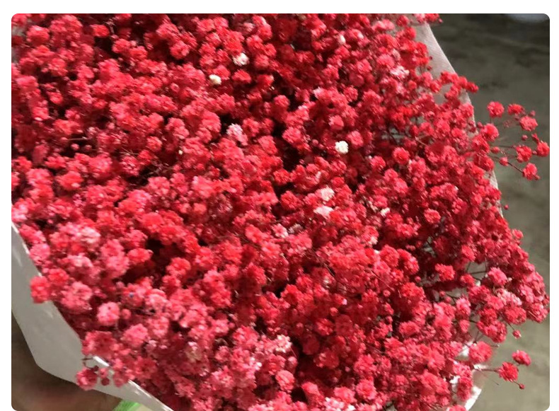 Full Sky Star, Immortal Flower, Dry Flower, True Flower Bundle, Flower Material, Gift, Flower_voghion.com