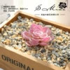 Bao Lotus Velvet Purple (excluding pots)