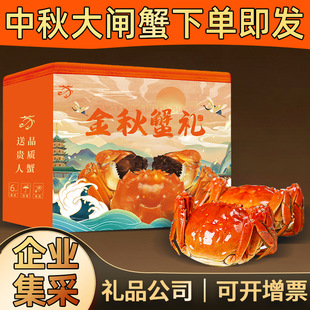 �K��ꖳα����з��3.5��ĸ2.5�� �r������  ��I���� ���_��Ʊ