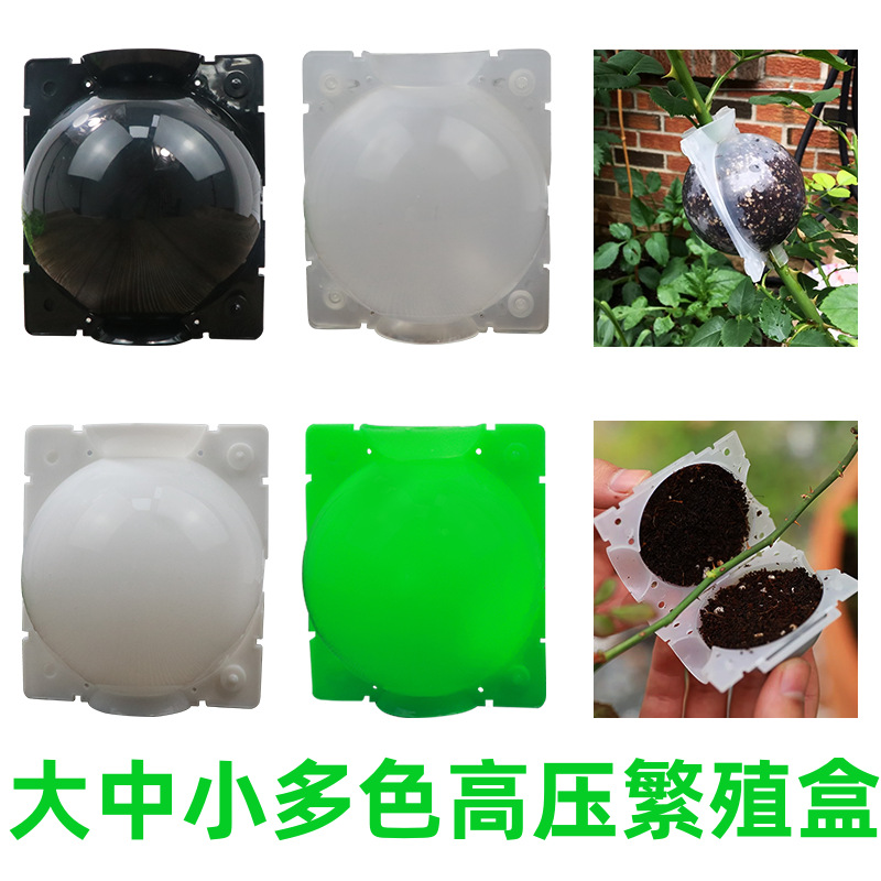 园艺植物高压繁殖盒子 园林树苗嫁接控根器 高压繁殖球生根器厂家
