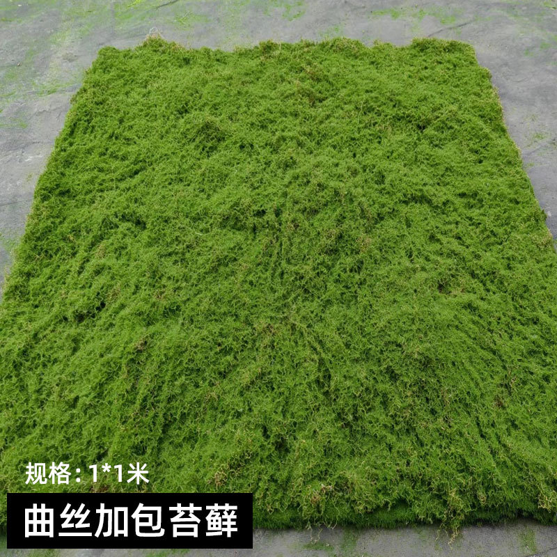 曲丝加包苔藓1_1米.jpg