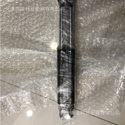 BUYOUNG 气弹簧C1L2281095  BUYOUNG支撑杆  BUYOUNG气动支撑杆