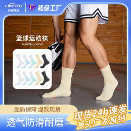 秋冬成人专业篮球袜长中筒袜儿童长筒运动袜吸汗毛巾底袜子男批发
