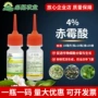 增大形成抑制提高柑橘树