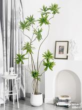 大盆栽百合竹植物假树室内落地摆件仿生绿植客厅装饰绿植6526