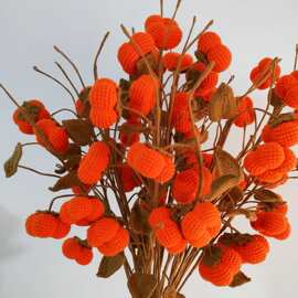 手工文艺钩织柿子仿真秋色插花装饰果子柿事如意送老师创意礼物