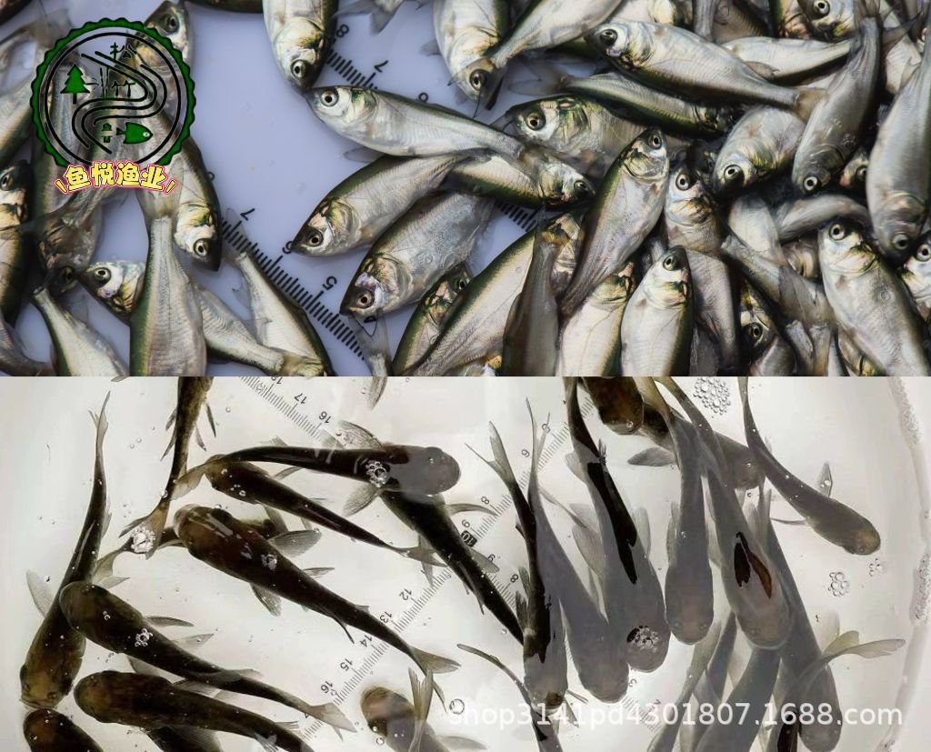 微信图片_2025-06-03_201900_719