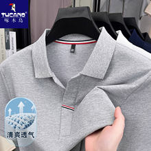 ��ľ�BPolo���ж����ļ�����ְ��b�̄����e����͸�ⷭ�IT������