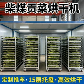 箱式干燥设备;带式干燥设备;滚筒干燥设备